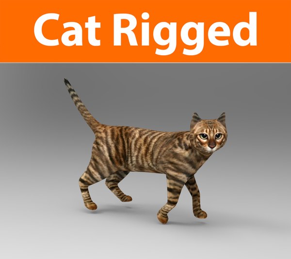 Cat rigged 3D model | 1142686 | TurboSquid