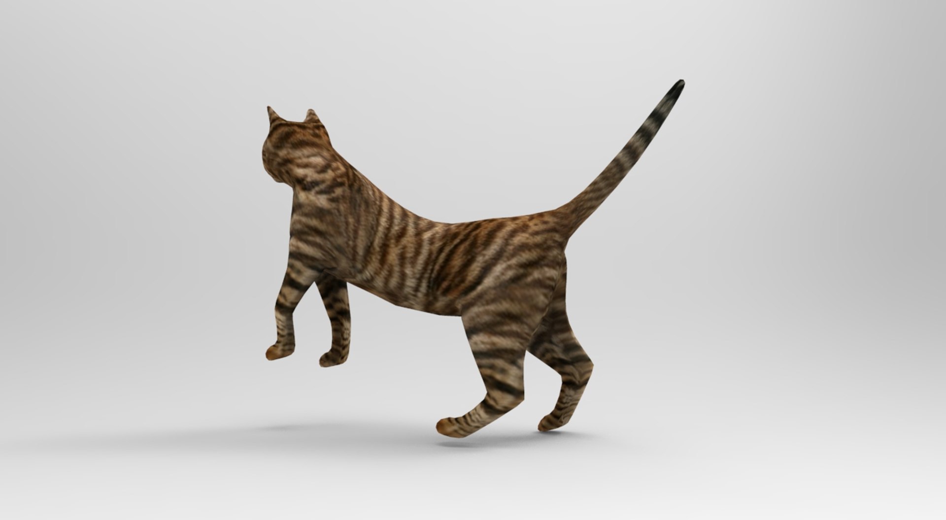Cat Rigged Model | 1142721 | TurboSquid