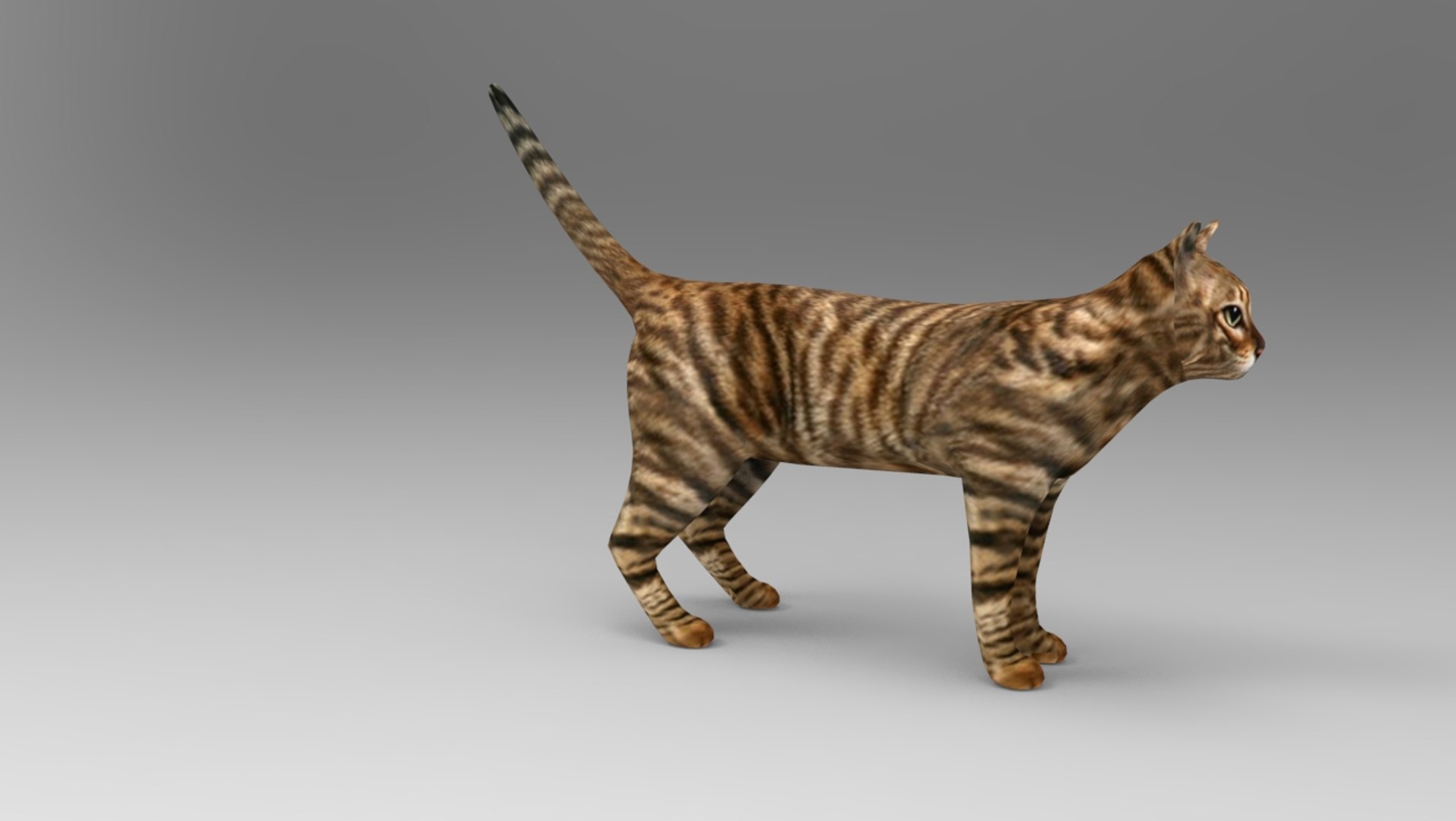 Cat Rigged Model | 1142721 | TurboSquid