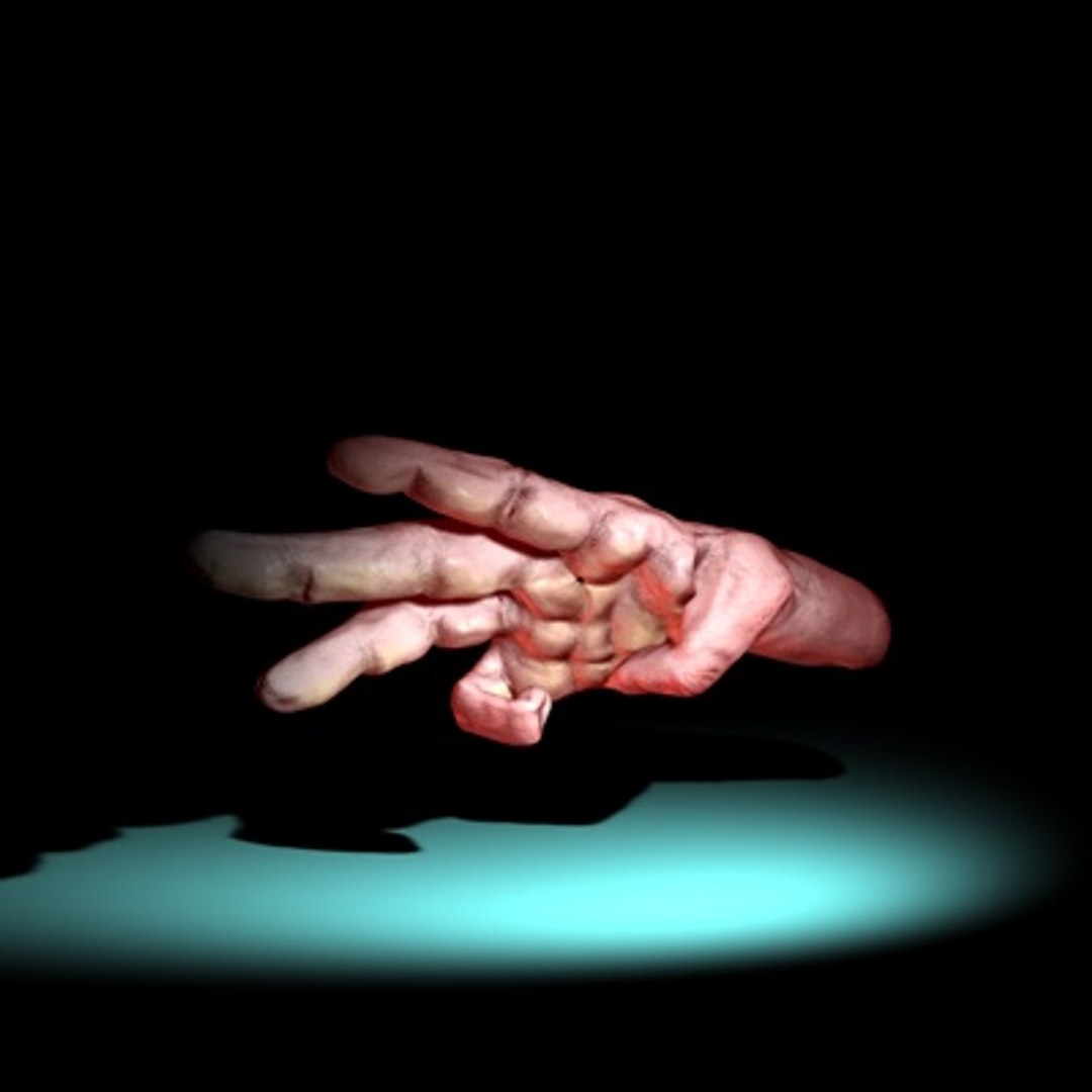 3d Hand Rigged Animation