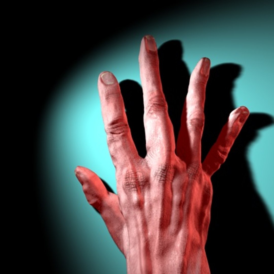 3d Hand Rigged Animation