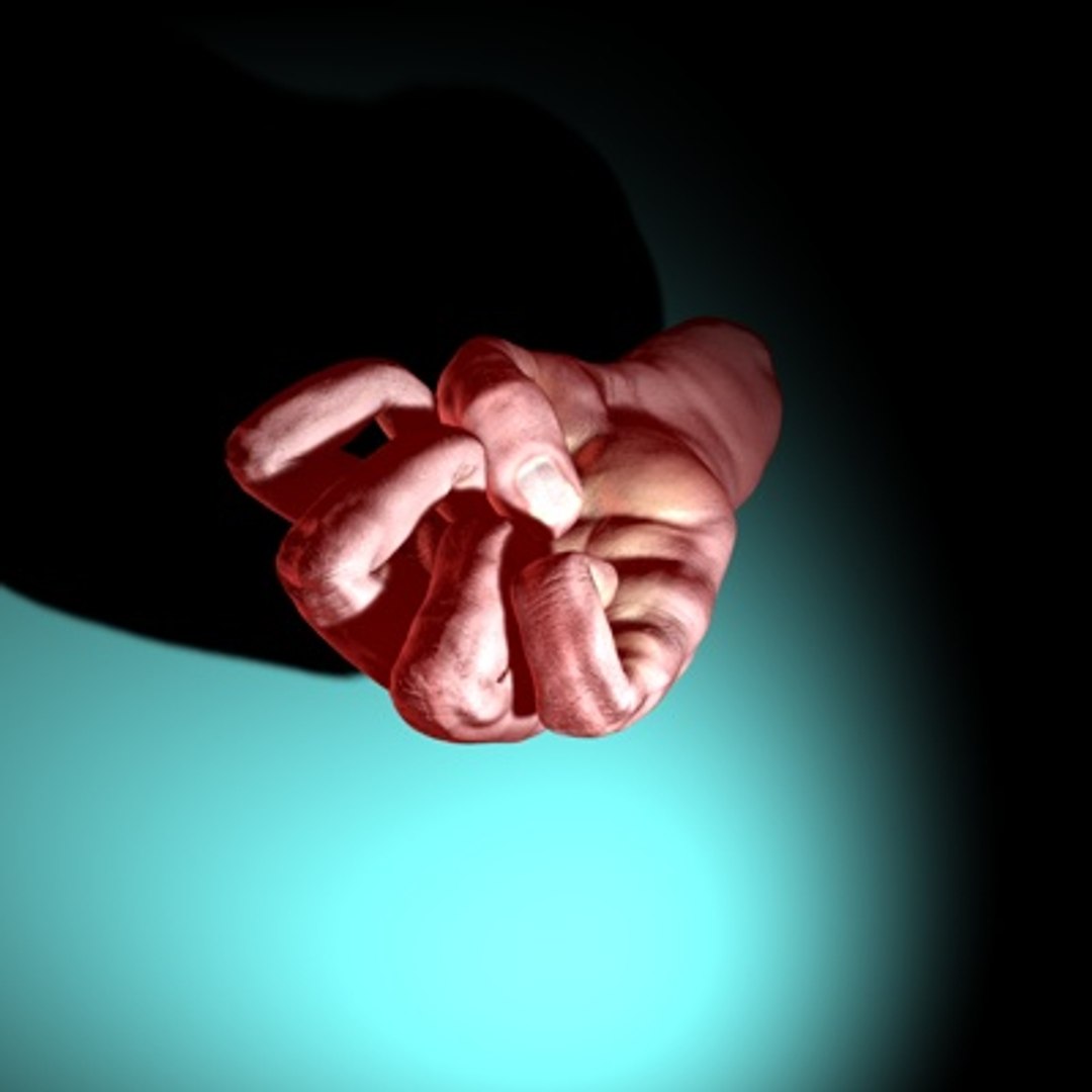 3d Hand Rigged Animation