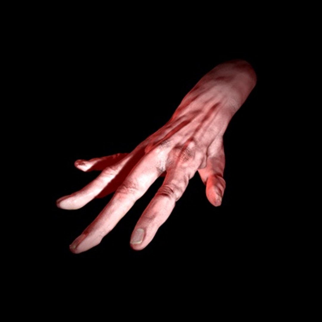 3d Hand Rigged Animation