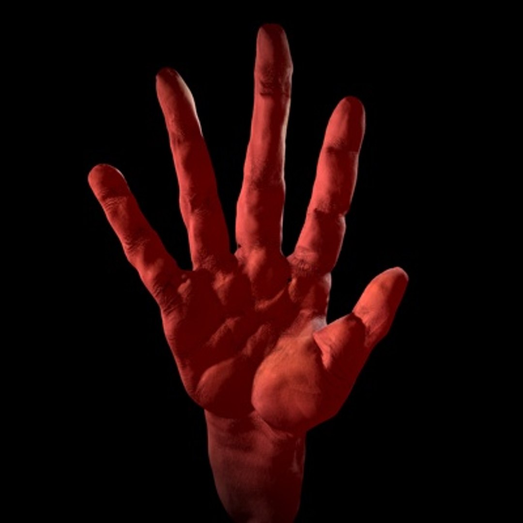 3d Hand Rigged Animation