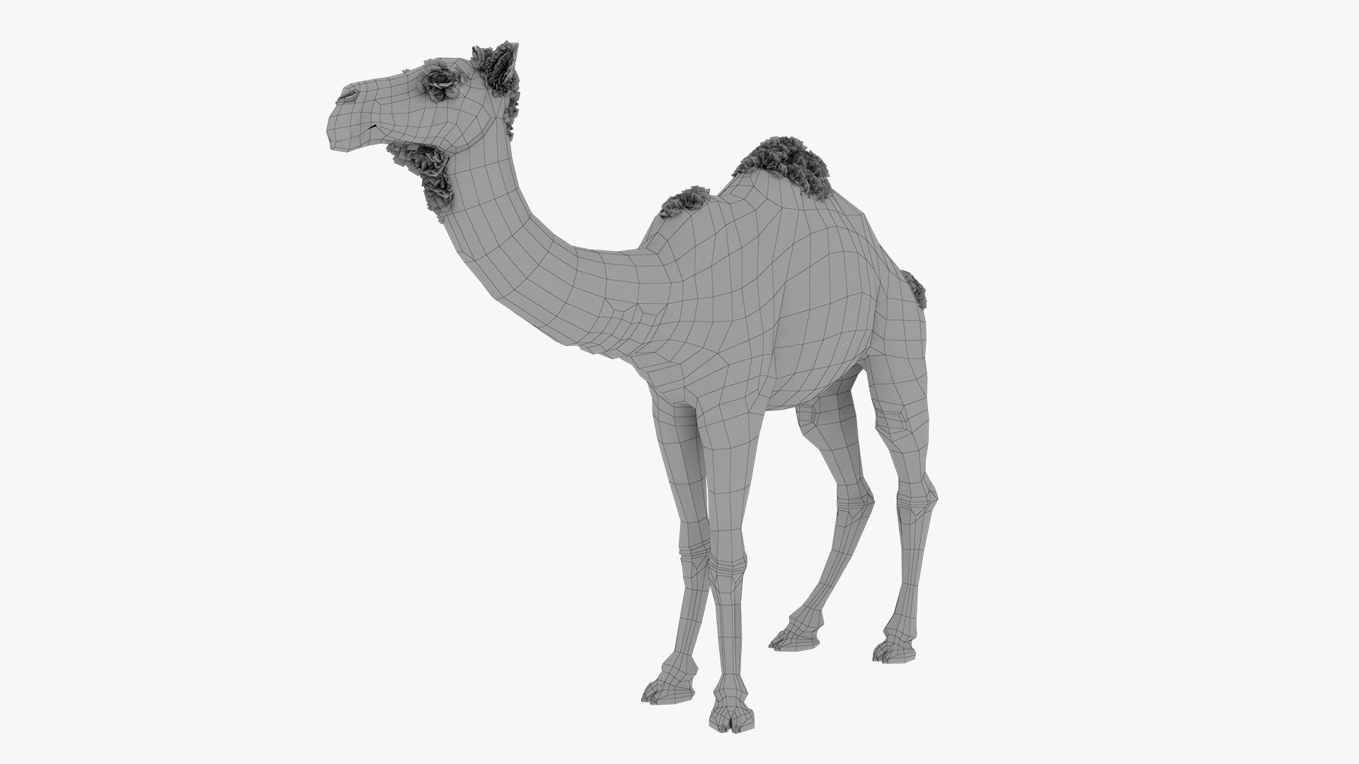 Camel 3d model 3D model https://p.turbosquid.com/ts-thumb/k4/MYnTjA/0h/12/jpg/1759652744/1920x1080/fit_q87/98ec09f2a92063a6b0441be85e787544d6c3a24c/12.jpg