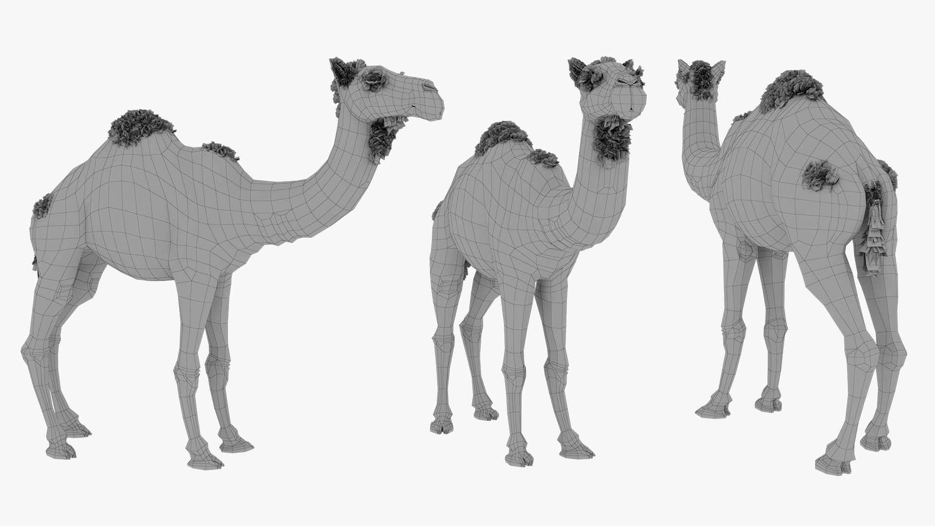 Camel 3d model 3D model https://p.turbosquid.com/ts-thumb/k4/MYnTjA/2J/preview_/jpg/1759652751/1920x1080/fit_q87/fdca1e87d7ac5dde4f170396a07d2eda530e6efb/preview_.jpg