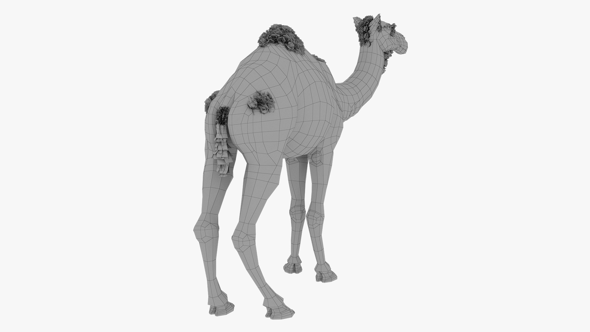 Camel 3d model 3D model https://p.turbosquid.com/ts-thumb/k4/MYnTjA/8i/15/jpg/1759652746/1920x1080/fit_q87/fd238392b43bd48c5cb902108f066e4769b51f32/15.jpg