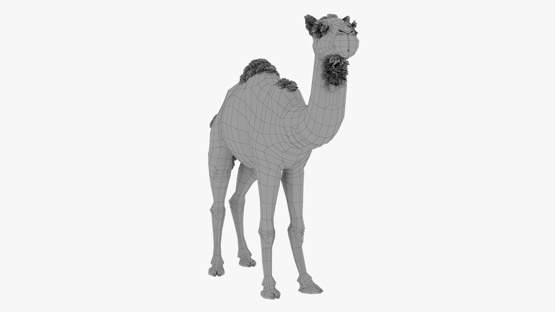 Camel 3d model 3D model https://p.turbosquid.com/ts-thumb/k4/MYnTjA/BM/10/jpg/1759652743/1920x1080/fit_q87/d81eba0b9e910f73ea2e5daa802ee02ccc085962/10.jpg