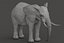 ELEFANTE