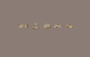 Popcorn model