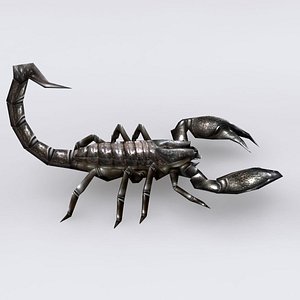 3d scorpion