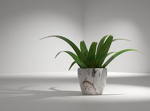 interior plant 3D