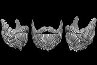 Beard 2