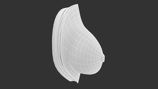3D model human female breast mammary - TurboSquid 1652023