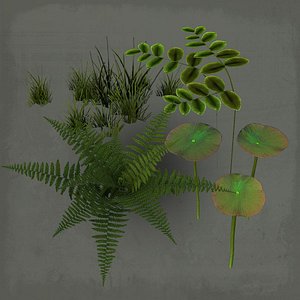 3ds max fern water