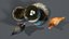 Huhn PBR Low-Poly-3D-Modell