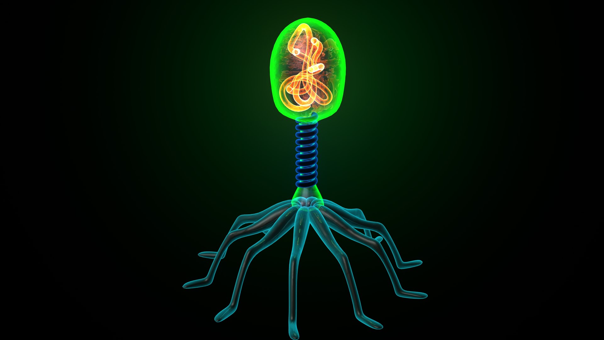 3D bacteriophage model https://p.turbosquid.com/ts-thumb/k4/x9Gcfe/YF/bacterophage0001/jpeg/1638835710/1920x1080/fit_q87/83607d9148c723c9c6a969f33a5afb454b737c04/bacterophage0001.jpg