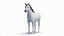 Anatomie masculine complète du cheval statique