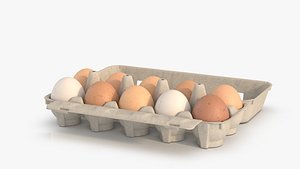 3D 10 eggs in rigged carton package