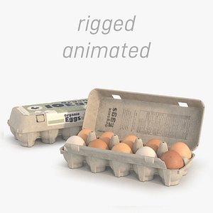 3D 10 eggs in rigged carton package