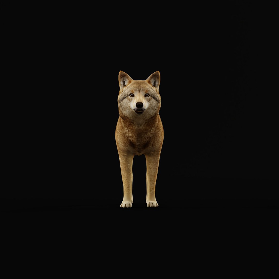 3D Eurasian Grey Wolf model https://p.turbosquid.com/ts-thumb/k5/3AE20P/xi/europeanwolfao_0002/jpg/1757792138/1920x1080/fit_q87/640be053dada19104e90d5721fd4e5f83c47b421/europeanwolfao_0002.jpg