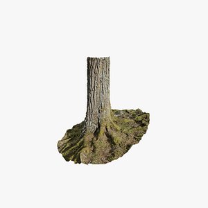 Anydrafts Abies Trunk 11 3D model