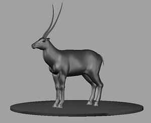 maya antelope