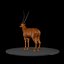 Antelope