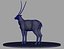Antelope