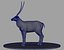 Antelope