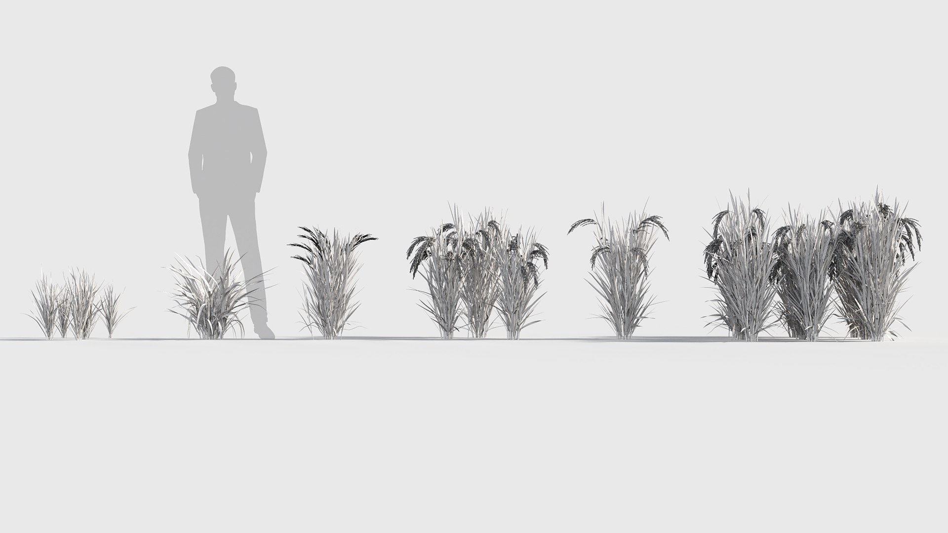 Oryza sativa - Asian rice 3D model 3D model https://p.turbosquid.com/ts-thumb/k5/Xi6cqP/Sg/gd_v19_oryza_sativa_05/jpg/1787642672/1920x1080/fit_q87/9f80a5c6a41a95f65491b89e848461c092044383/gd_v19_oryza_sativa_05.jpg