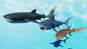 Shark Pack Three Species Rigged and Animated Game Ready