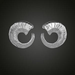 Horn earrings model