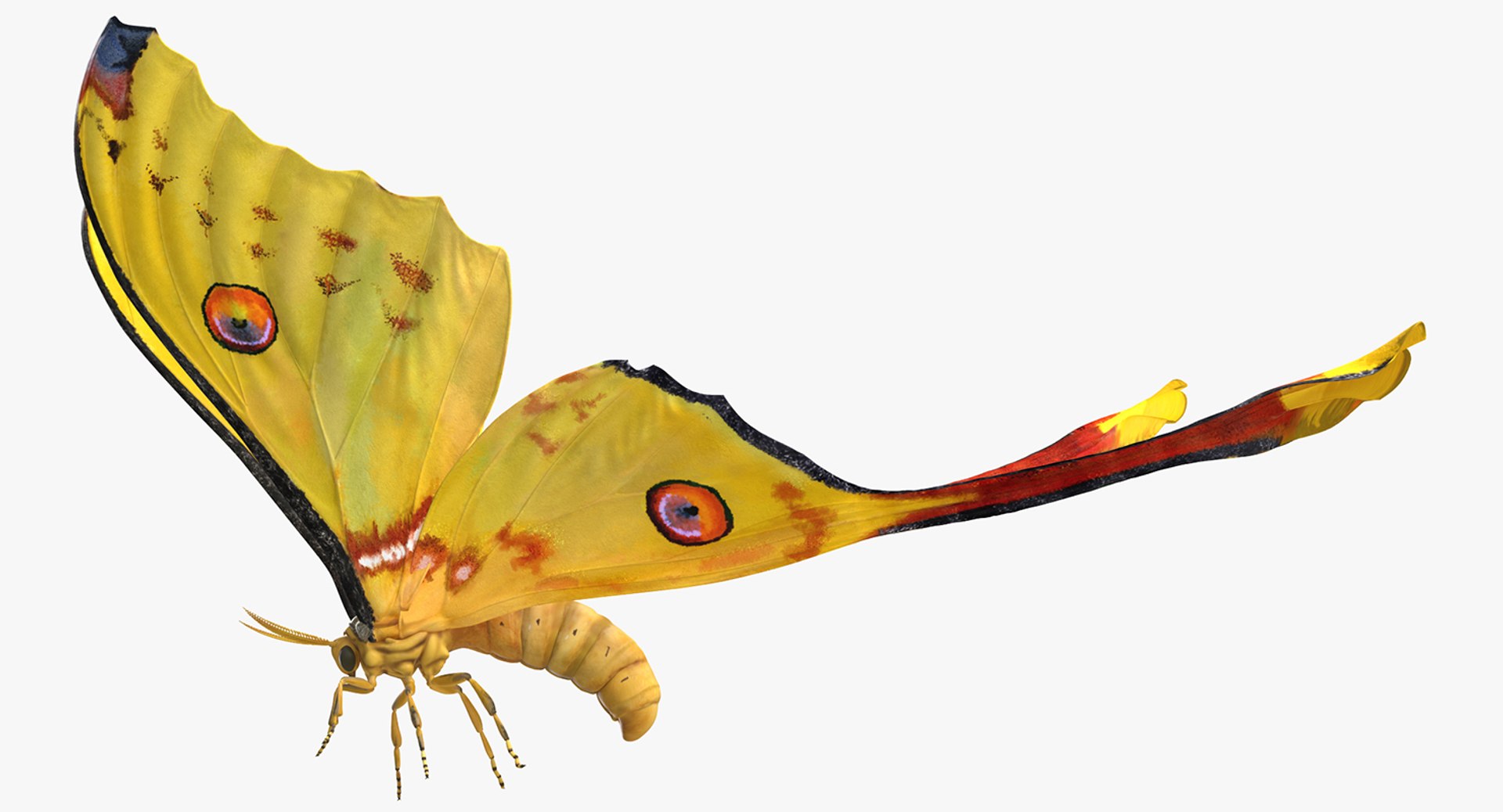 3D Flying Insects Rigged Collection 5 for Cinema 4D model https://p.turbosquid.com/ts-thumb/k5/ywQjEC/PshS4YXC/argemamittreiriggedvray3dmodel001/jpg/1648868681/1920x1080/fit_q87/d2c9e2e049fa53aa3de9e7d6670395f2bdfdf997/argemamittreiriggedvray3dmodel001.jpg