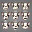 French Bulldog Puppy