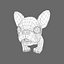 French Bulldog Puppy
