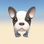 French Bulldog Puppy