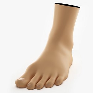 Foot