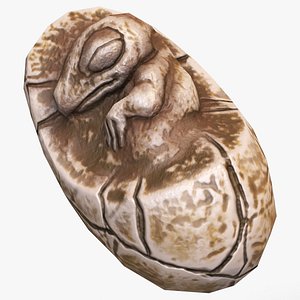 Fossil Eggs Collection 3D model