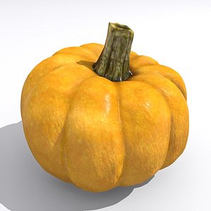 pumpkin 3d model
