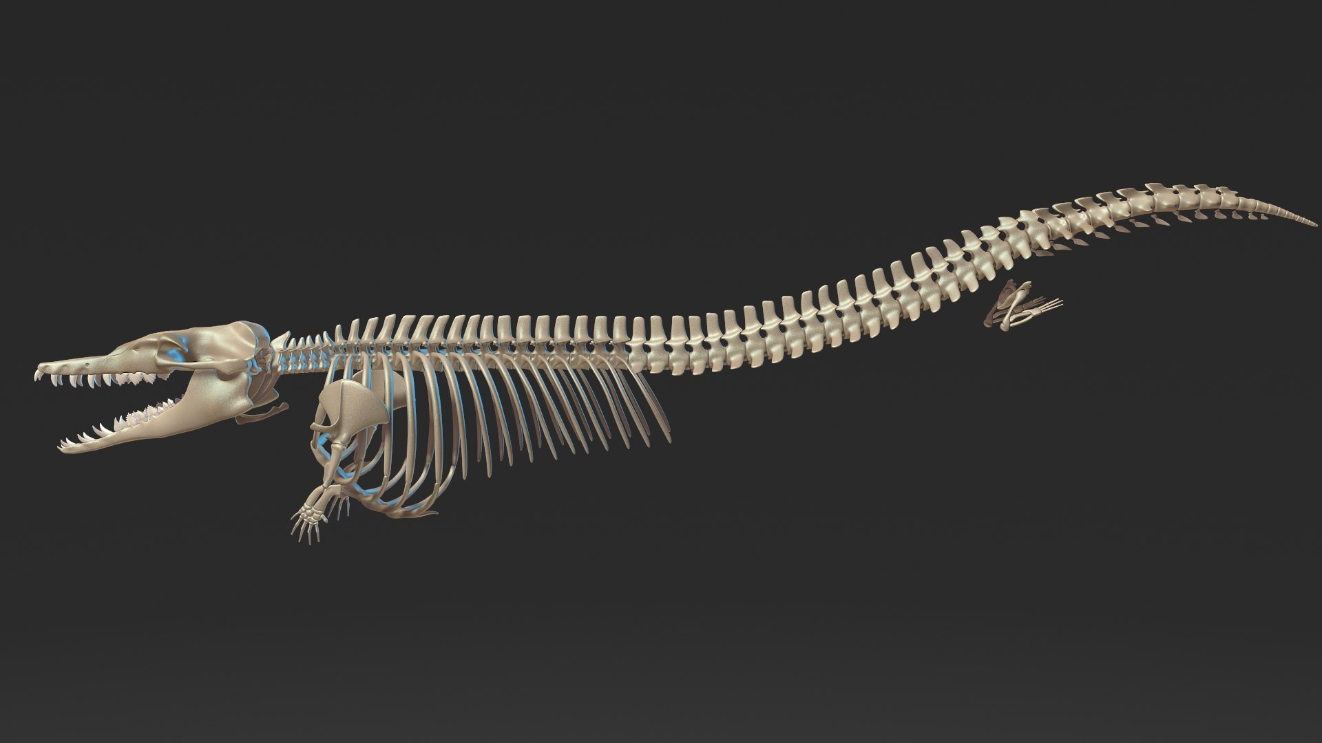 Dinosaur Basilosaurus Skeleton Skull 3D Model - TurboSquid 1597145