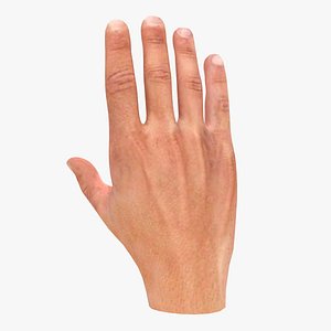 Low poly hand, fully rigged
