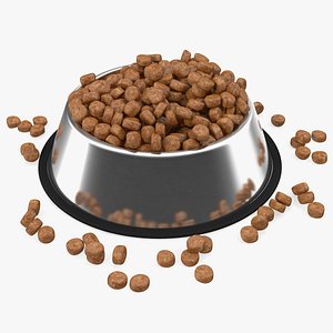 Dry Dog Food Stainless Steel Bowl