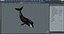 Swimming Bowhead Whale