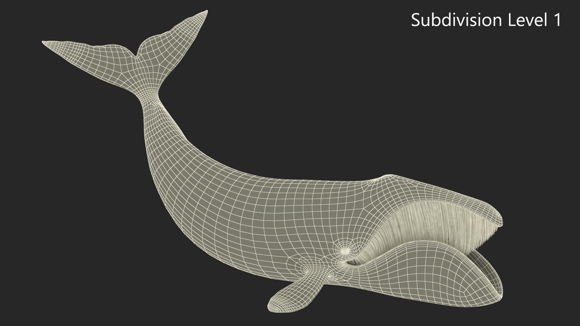 Swimming Bowhead Whale model https://p.turbosquid.com/ts-thumb/k7/A0YaxD/Q2/swimmingbowheadwhalemb3dmodel017/jpg/1692912156/1920x1080/fit_q87/97389586e1fb8d8cf37097229d49d34448a5233a/swimmingbowheadwhalemb3dmodel017.jpg