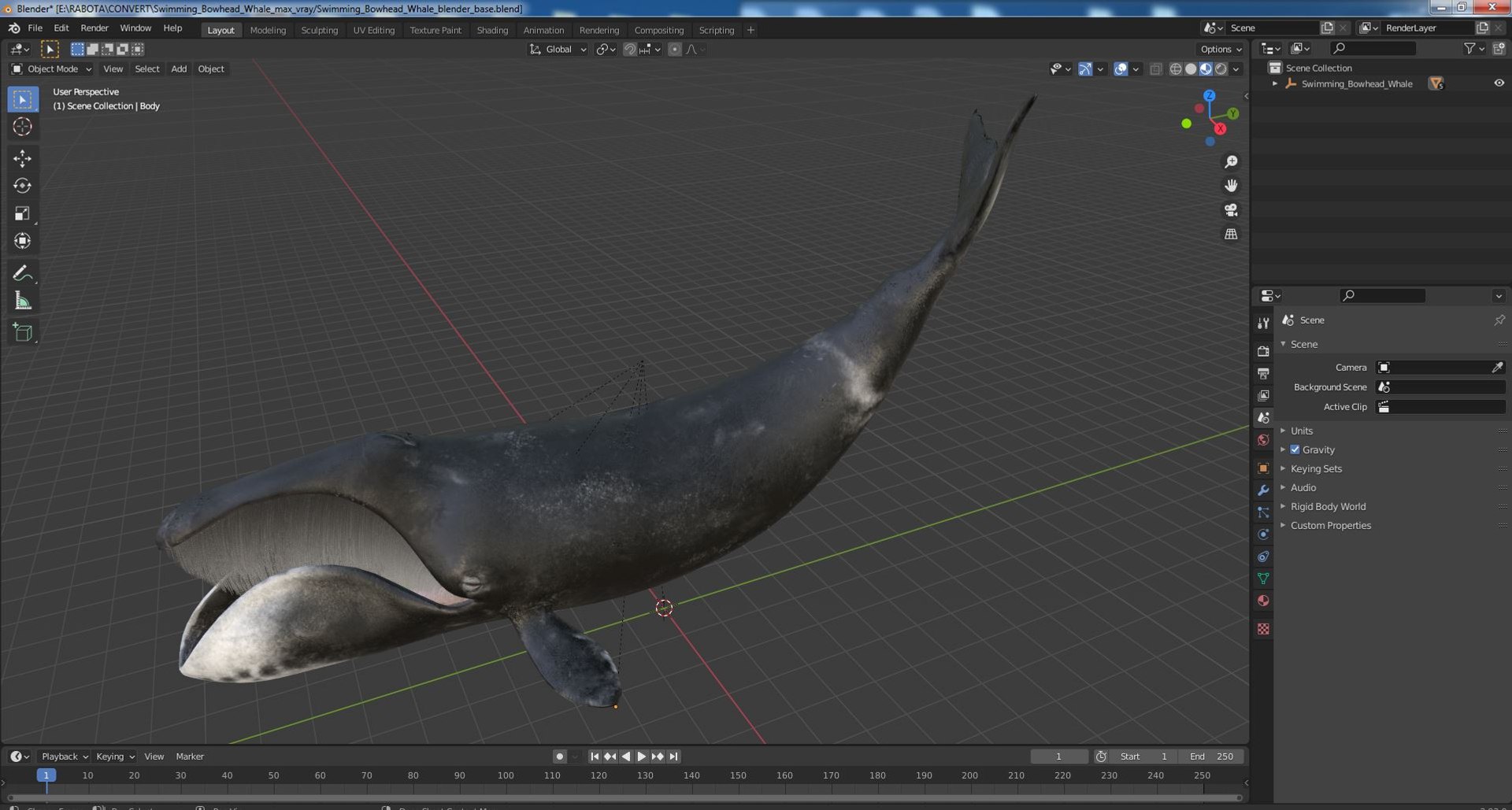 Swimming Bowhead Whale model https://p.turbosquid.com/ts-thumb/k7/A0YaxD/an/swimmingbowheadwhalemb3dmodel021/jpg/1692912171/1920x1080/fit_q87/2faa32f4f2bec9724ba1602b3833fdb66ff5ca36/swimmingbowheadwhalemb3dmodel021.jpg