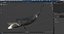 Swimming Bowhead Whale