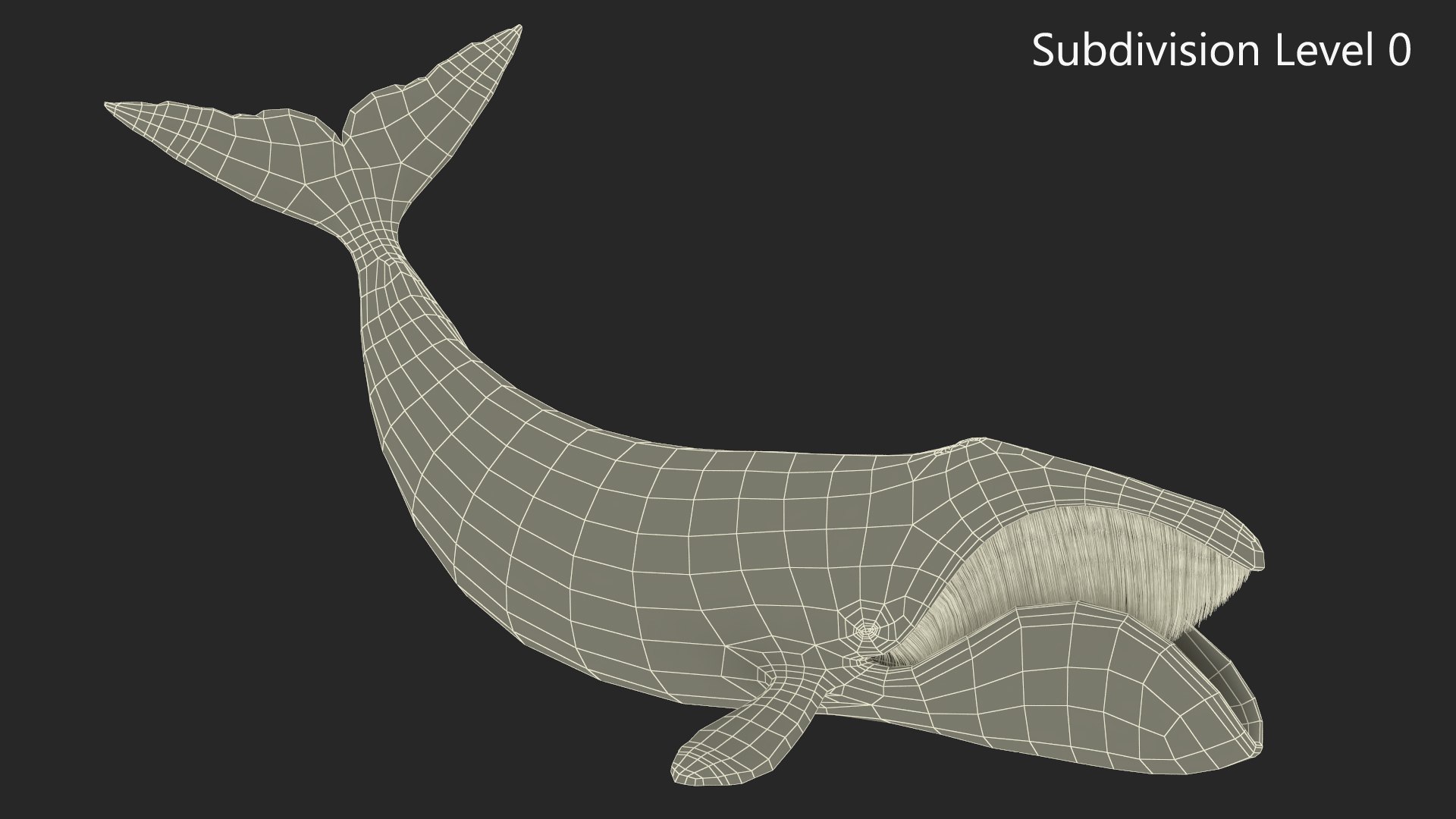 Swimming Bowhead Whale model https://p.turbosquid.com/ts-thumb/k7/A0YaxD/cP/swimmingbowheadwhalemb3dmodel016/jpg/1692912152/1920x1080/fit_q87/099d0337ba9ef00a4c5b13c83a3dc9cc5795af32/swimmingbowheadwhalemb3dmodel016.jpg