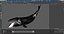 Swimming Bowhead Whale
