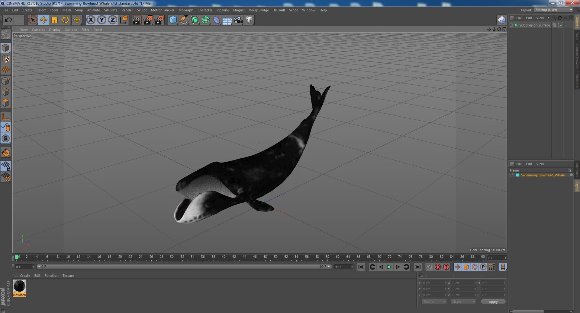 Swimming Bowhead Whale model https://p.turbosquid.com/ts-thumb/k7/A0YaxD/q1/swimmingbowheadwhalemb3dmodel023/jpg/1692912178/1920x1080/fit_q87/f16aa9be94408e42a60d9eced913c5f4b8b7fff0/swimmingbowheadwhalemb3dmodel023.jpg